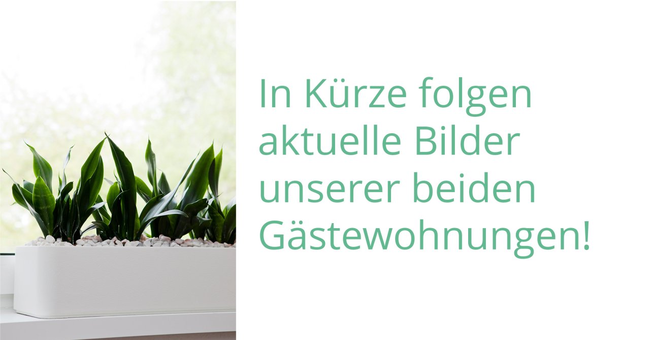 Gästewohnungen